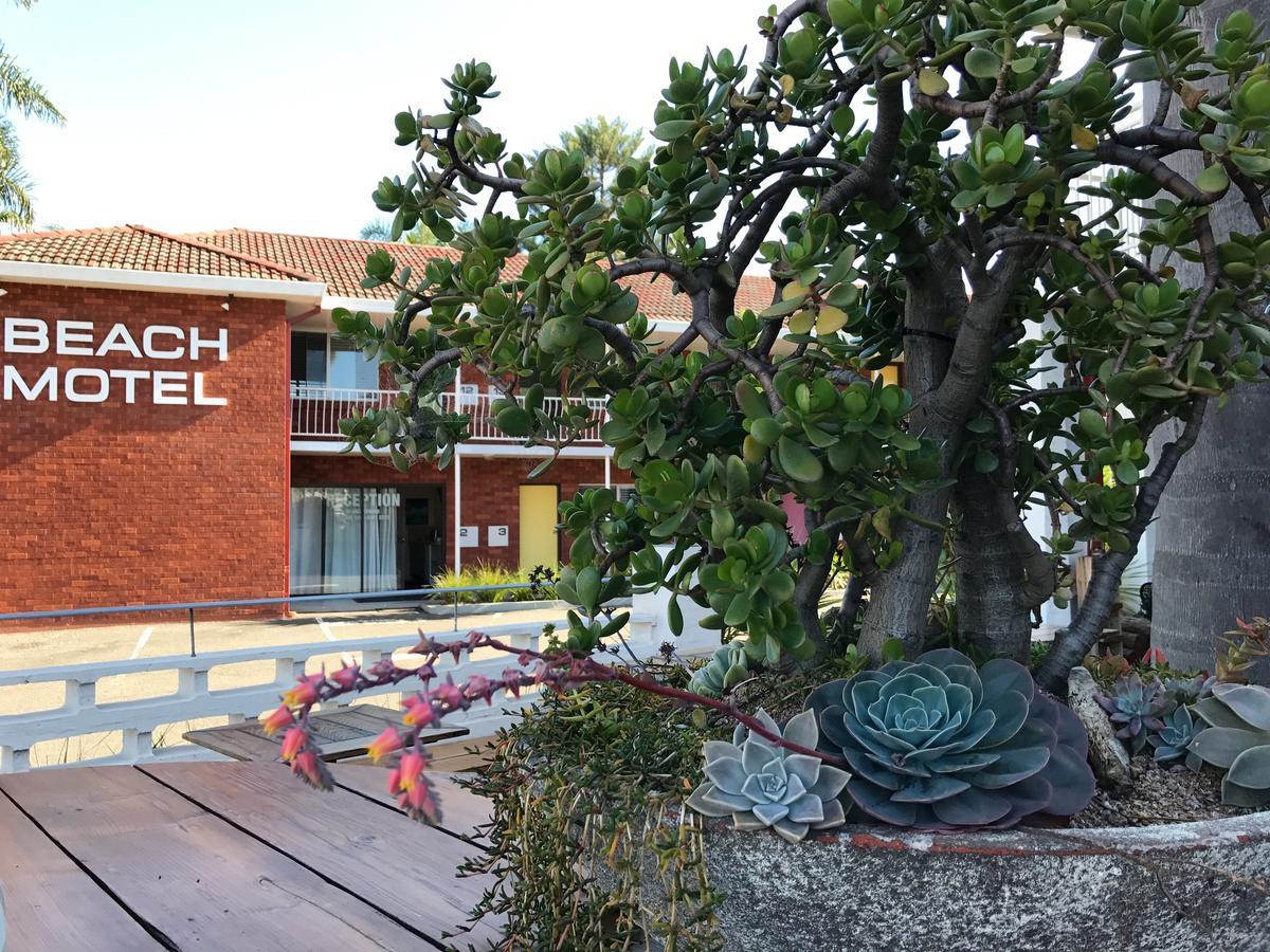 Thirroul Beach Motel Eksteriør bilde